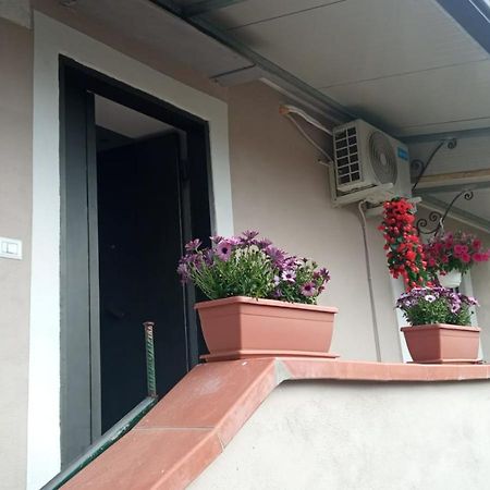 A Casa Di Nonna Anna Villa Ерколано Екстериор снимка