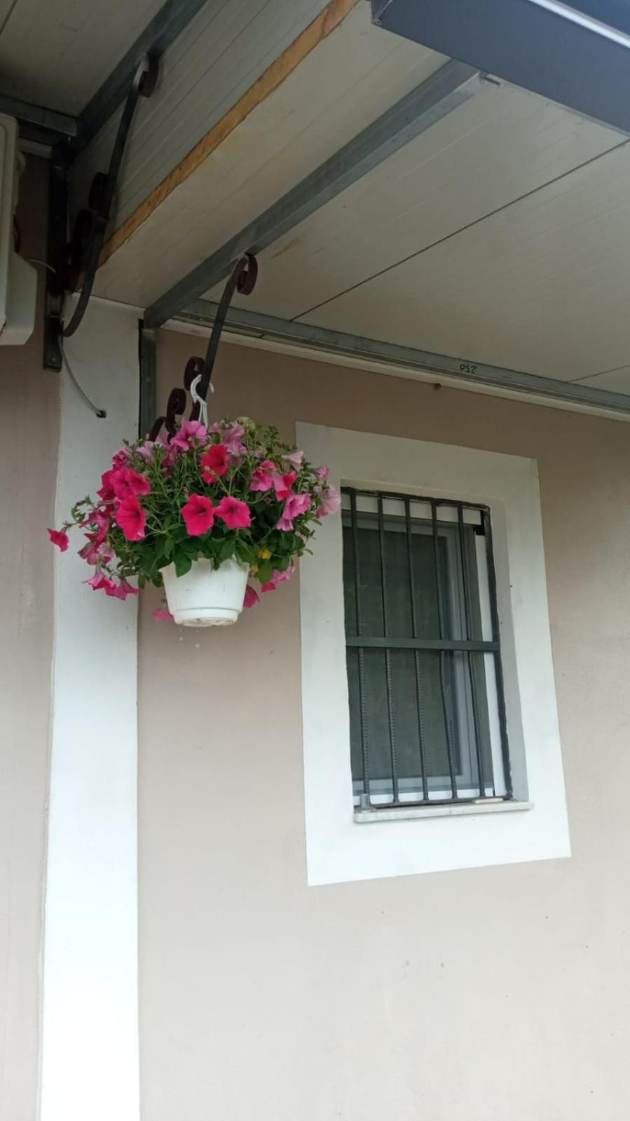 A Casa Di Nonna Anna Villa Ерколано Екстериор снимка